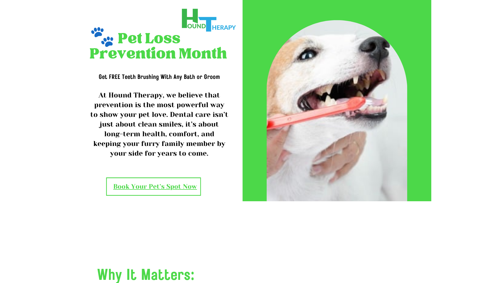 Hound Therapy website screenshot